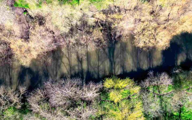 Nature ©Flying Film Lab